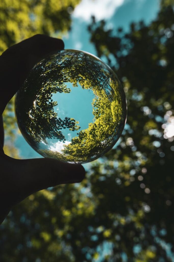 pexels photo 8266270 A creative shot depicting trees and sky reflected in a lensball, held by a hand with a blurred forest background.